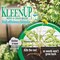 Bonide Products Bonide KleenUp Weed and Grass Killer RTU Liquid 1 gal 7591 - alternate 4